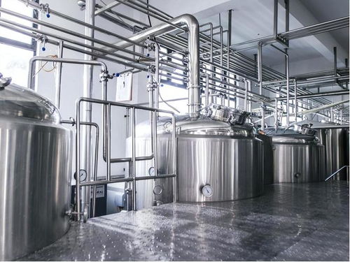 酒香何處尋？—— 傳統酒業的變遷與現代市場挑戰